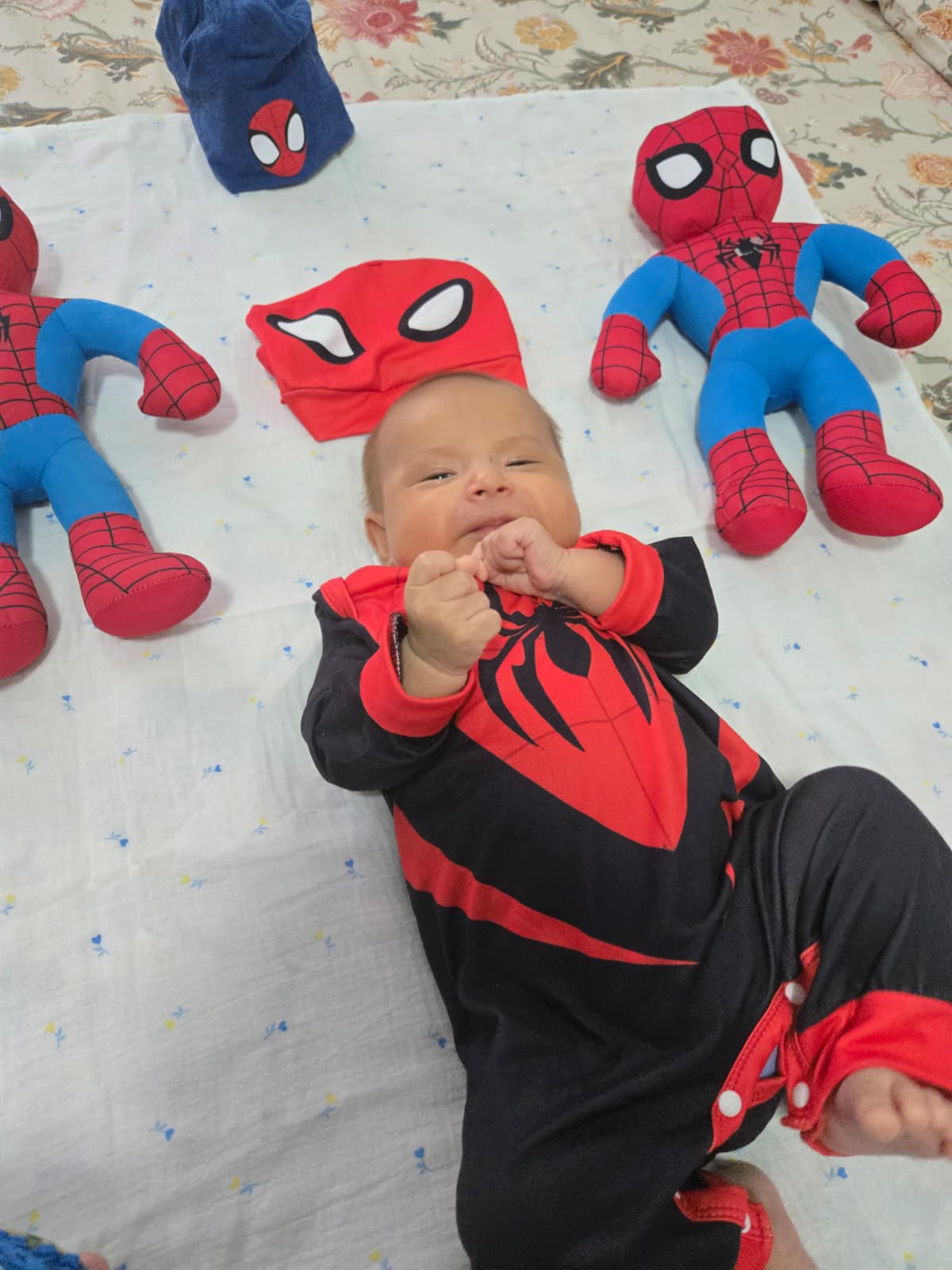 Le prime mosse da Spider-Man