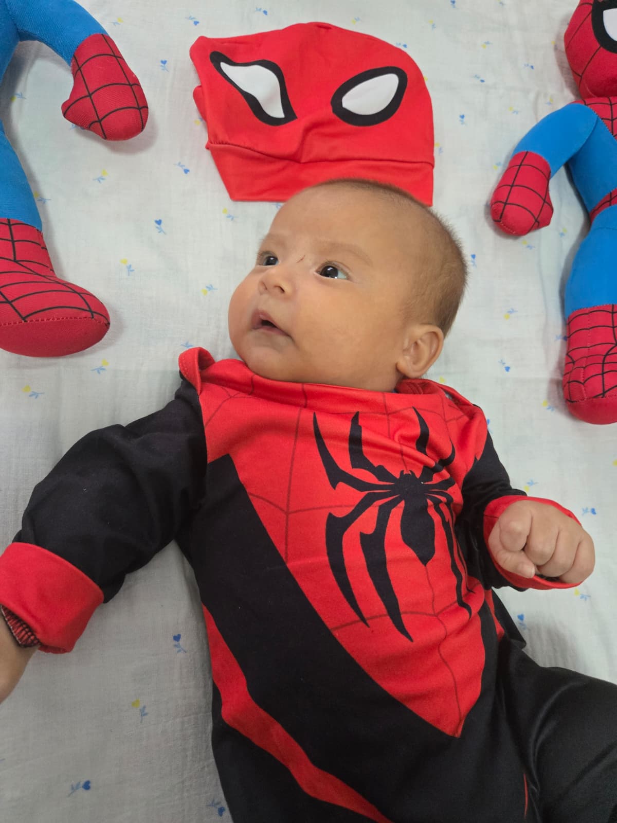 Le prime mosse da Spider-Man