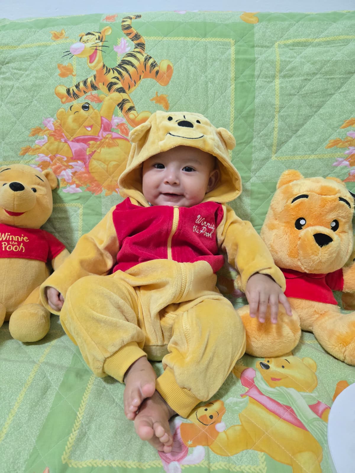 Piccolo orsachiotto Winnie the Pooh